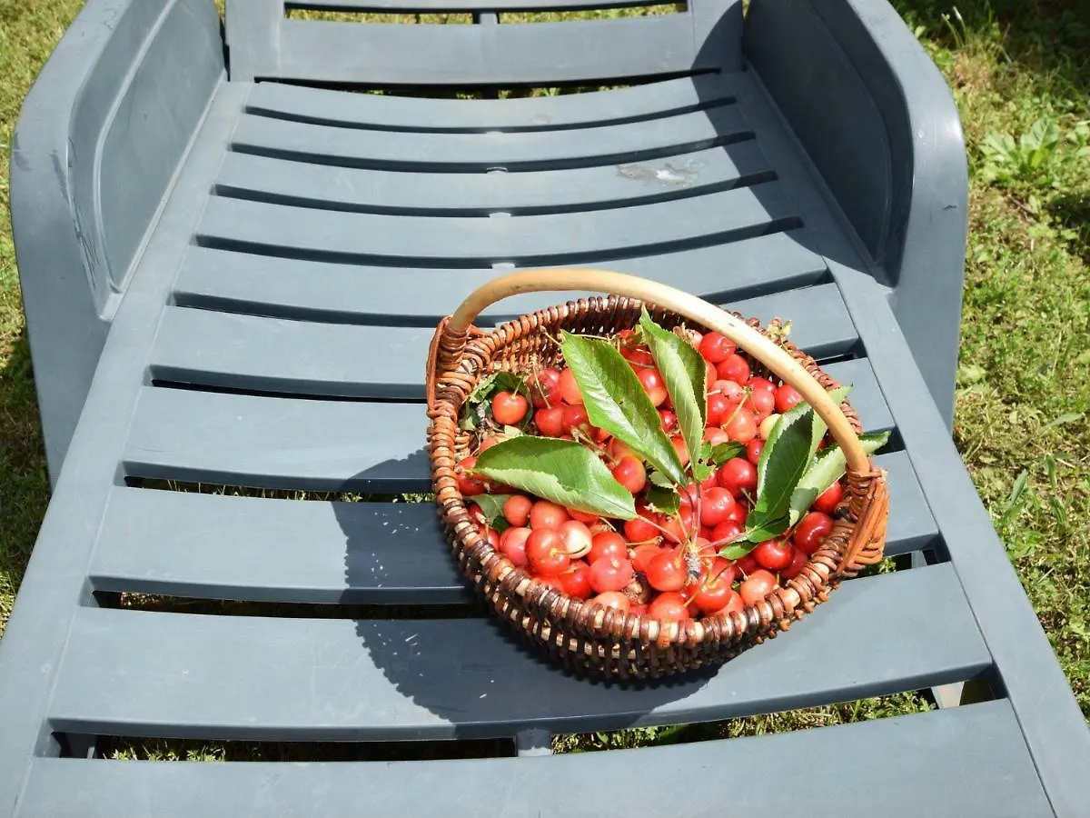 Lovable Apartment, Pool With Deckchairs Poreč